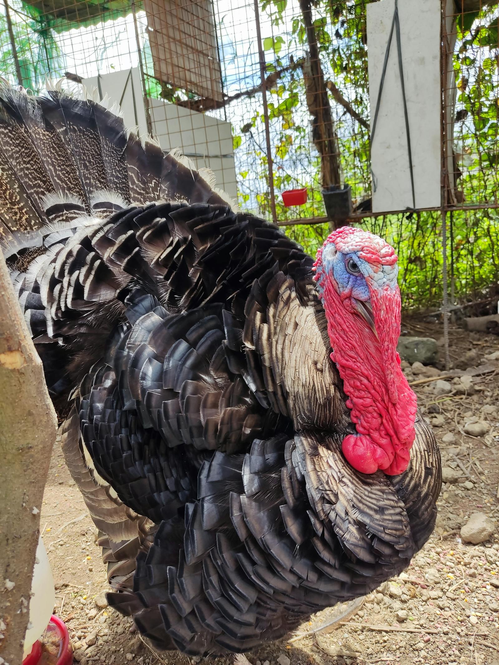 Santiago de Chile — oficinas FST en Las Condes